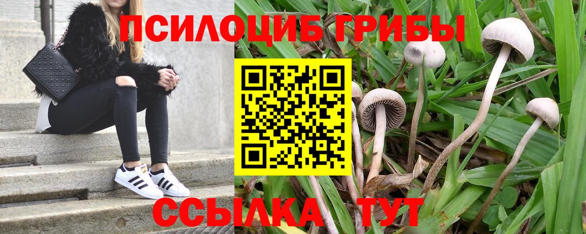 Галлюциногенные грибы Magic Shrooms Сафоново