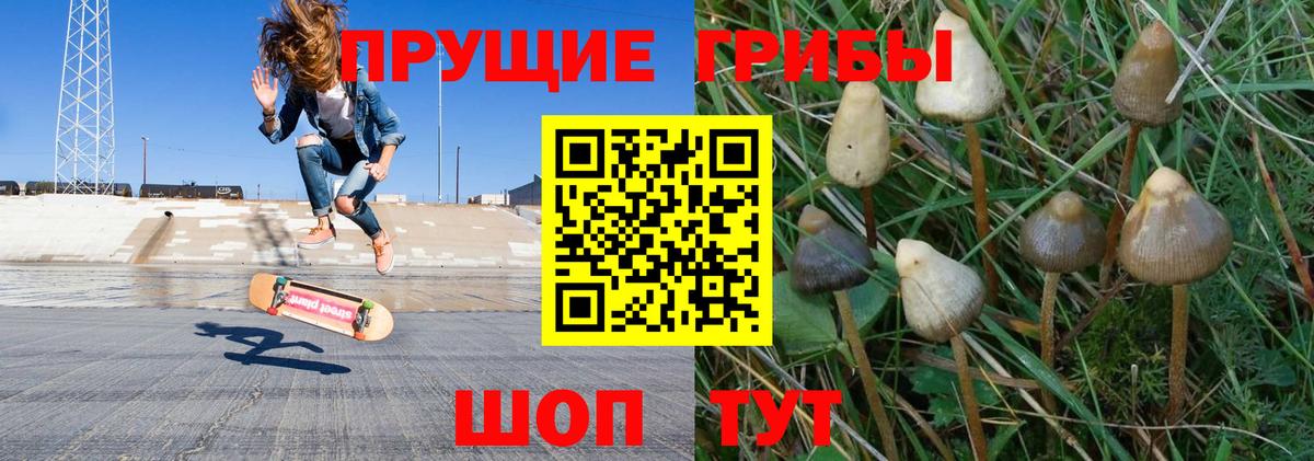 Псилоцибиновые грибы Cubensis  купить наркоту  Вход с VPN  Сафоново  Галлюциногенные грибы Psilocybe 
